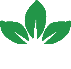 B3 Property Management logo